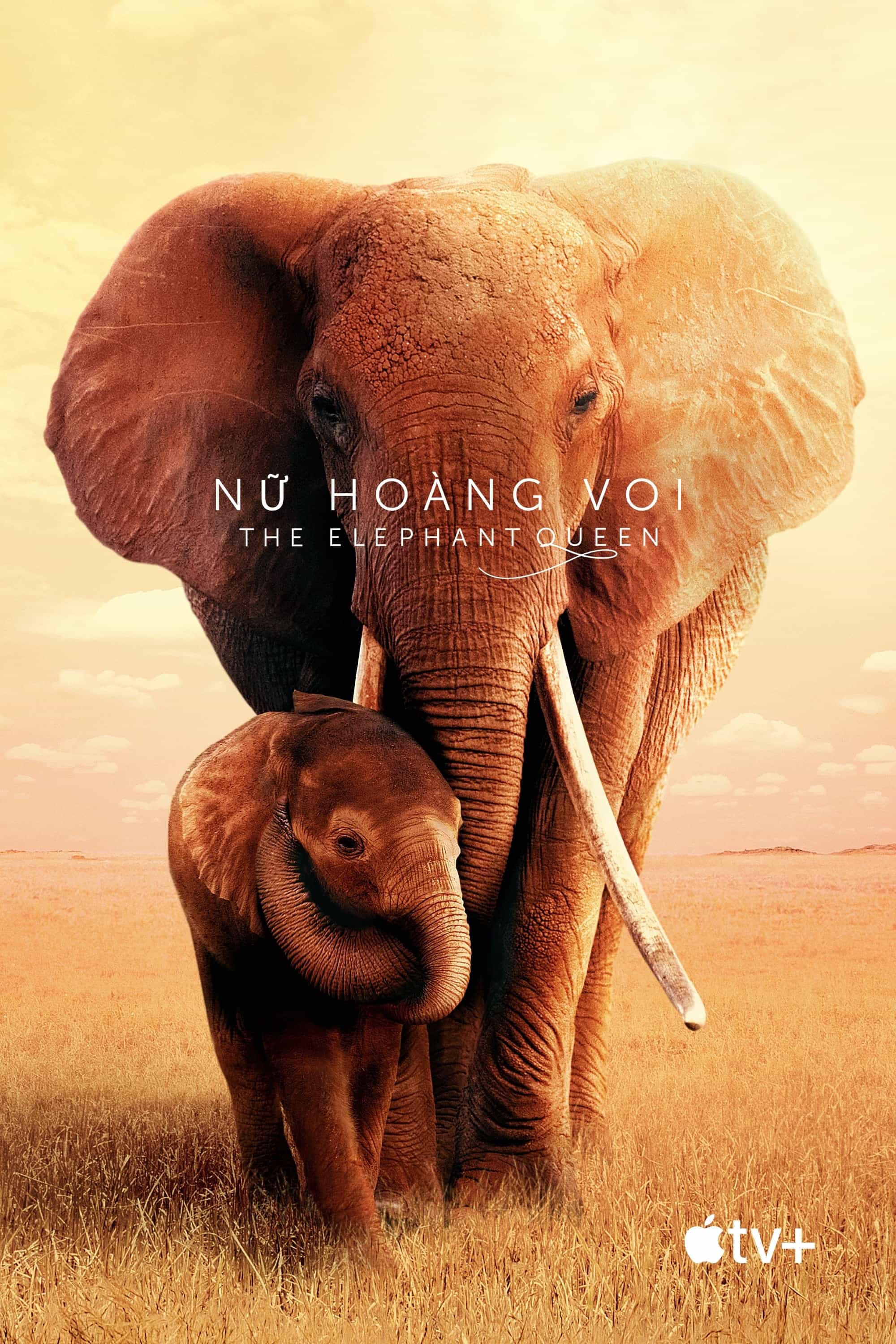 Nữ Hoàng Voi 2019