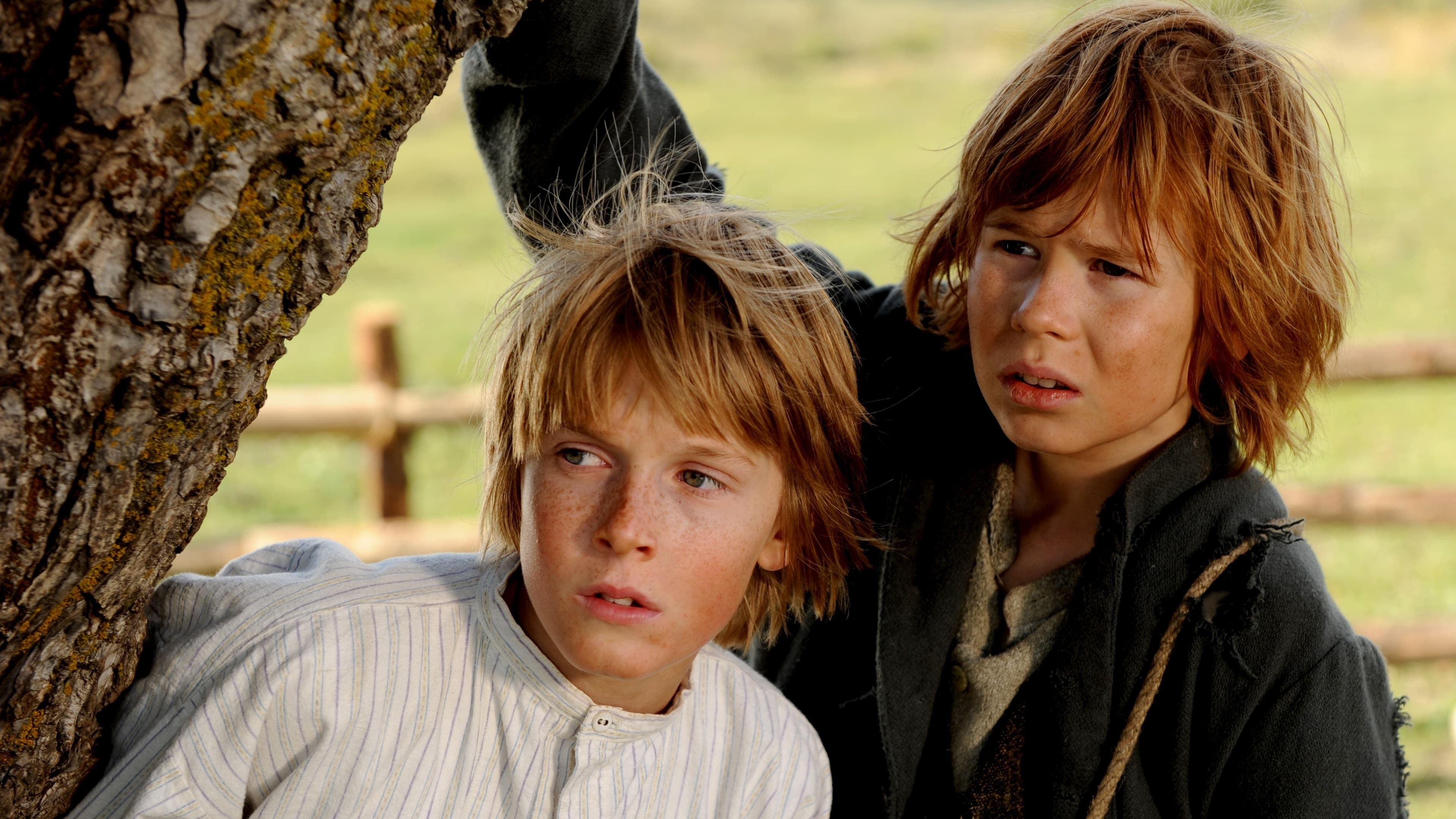 Những Cuộc Phiêu Lưu Của Tom Sawyer 2011