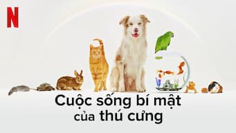 Cuộc Sống Bí Mật Của Thú Cưng 2022
