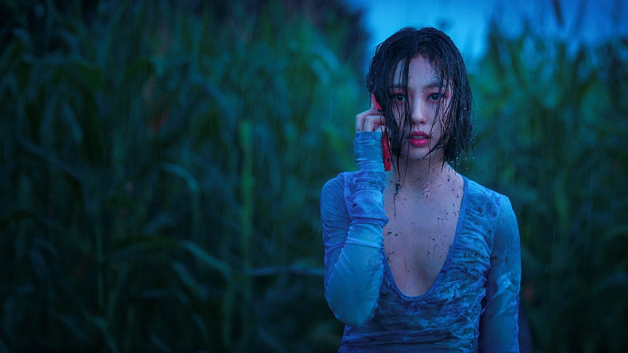 Rừng Không Tiếng 2024