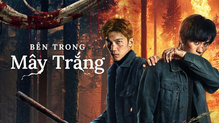 Bên Trong Mây Trắng 2025